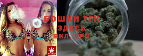 крисы Богородск