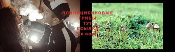 крисы Богородск