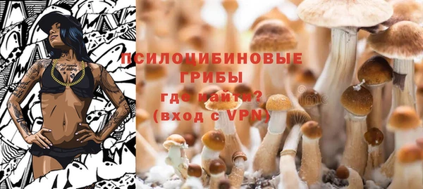 амф Богородицк