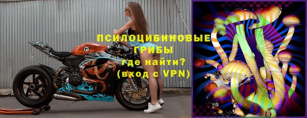 mdpv Богданович