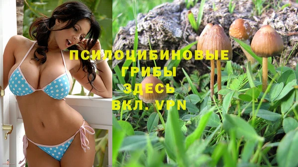 прущий лед Белокуриха