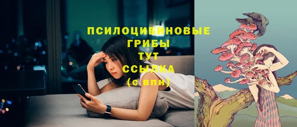 прущий лед Белокуриха