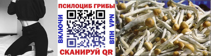 Галлюциногенные грибы MAGIC MUSHROOMS  Болотное 